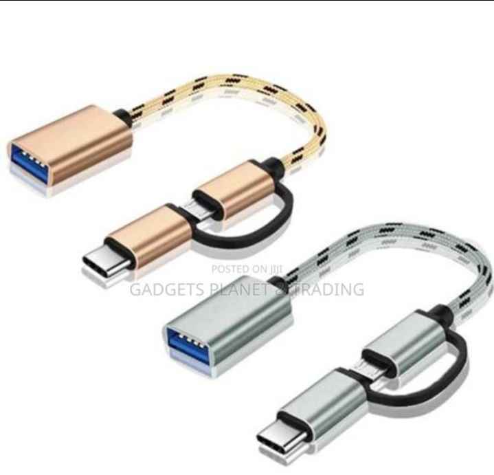 2-in-1 Braided OTG Adapter
